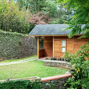 Misty Mountain Experience Hotel Pirmed